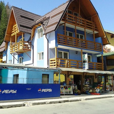 Pensiunea Aurora - Great Hostel Войняса Екстериор снимка