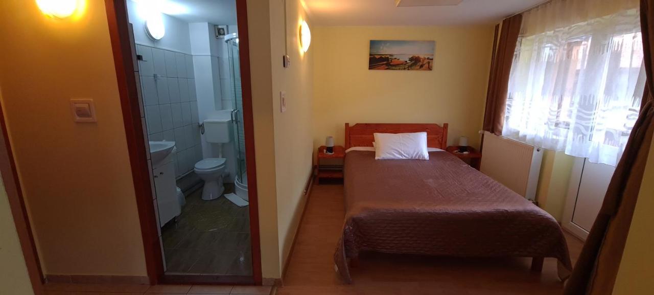 Pensiunea Aurora - Great Hostel Войняса Екстериор снимка