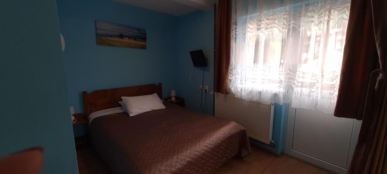 Pensiunea Aurora - Great Hostel Войняса Екстериор снимка