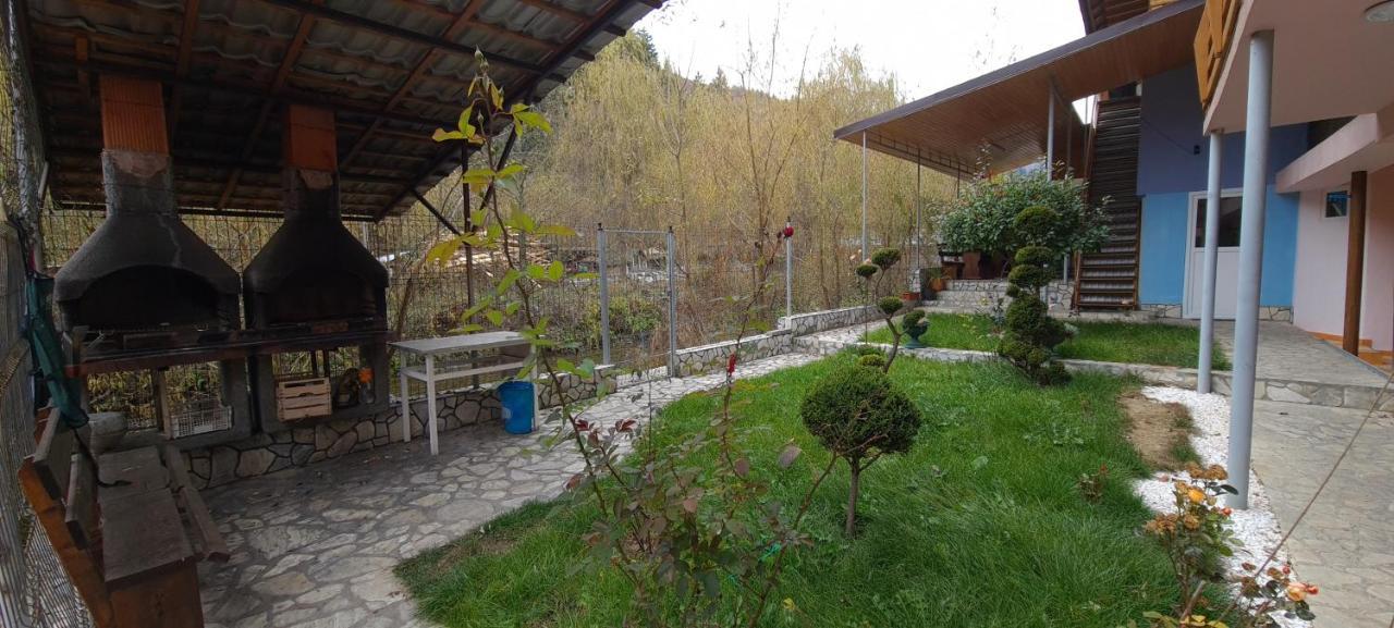 Pensiunea Aurora - Great Hostel Войняса Екстериор снимка