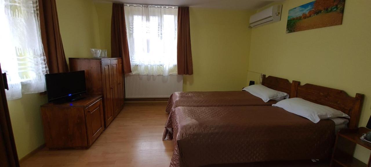 Pensiunea Aurora - Great Hostel Войняса Екстериор снимка