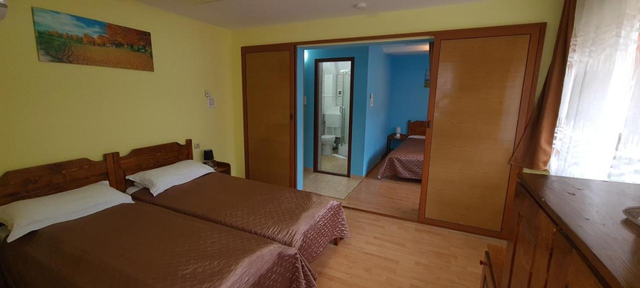 Pensiunea Aurora - Great Hostel Войняса Екстериор снимка
