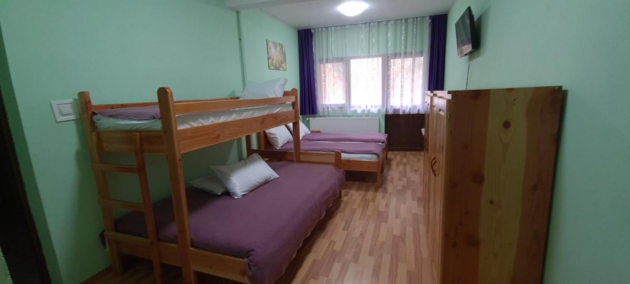 Pensiunea Aurora - Great Hostel Войняса Екстериор снимка