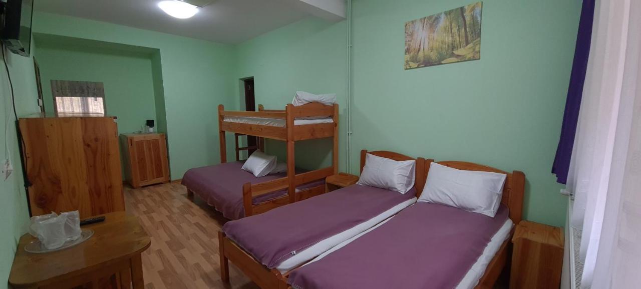 Pensiunea Aurora - Great Hostel Войняса Екстериор снимка
