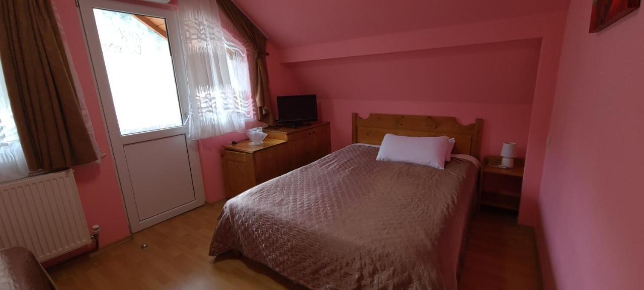 Pensiunea Aurora - Great Hostel Войняса Екстериор снимка
