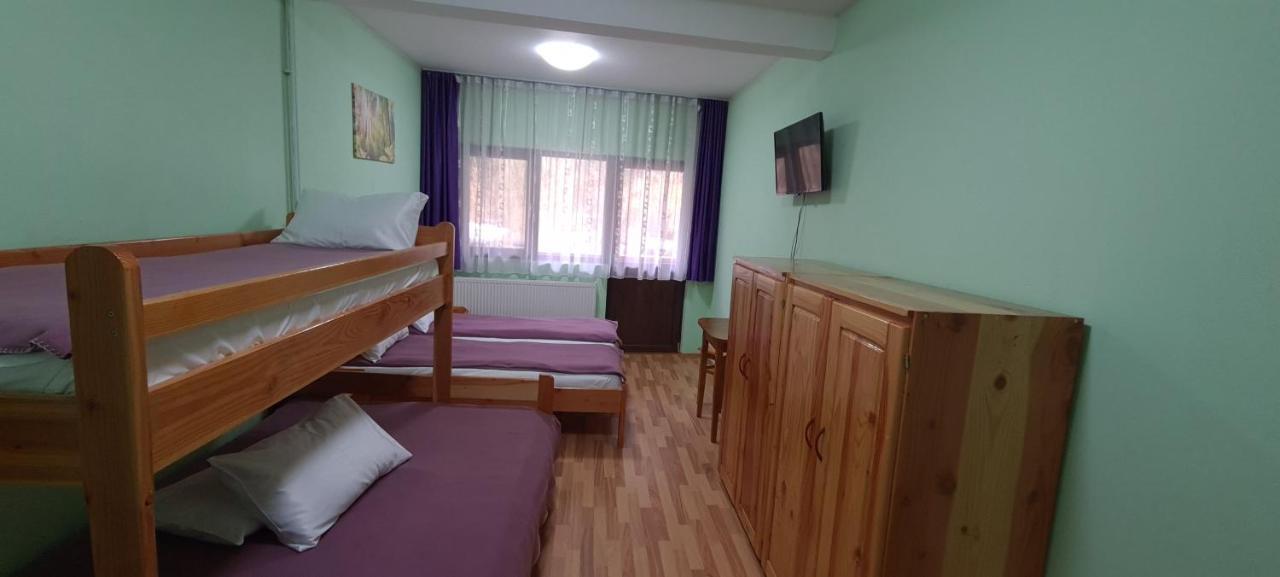 Pensiunea Aurora - Great Hostel Войняса Екстериор снимка