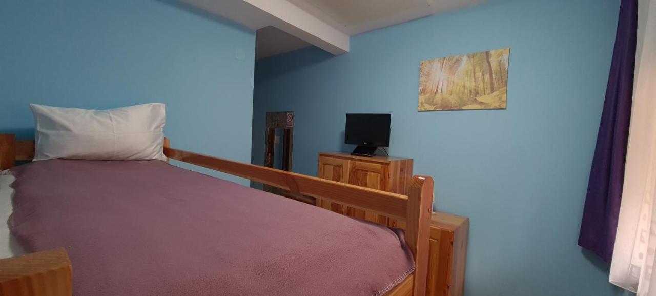 Pensiunea Aurora - Great Hostel Войняса Екстериор снимка