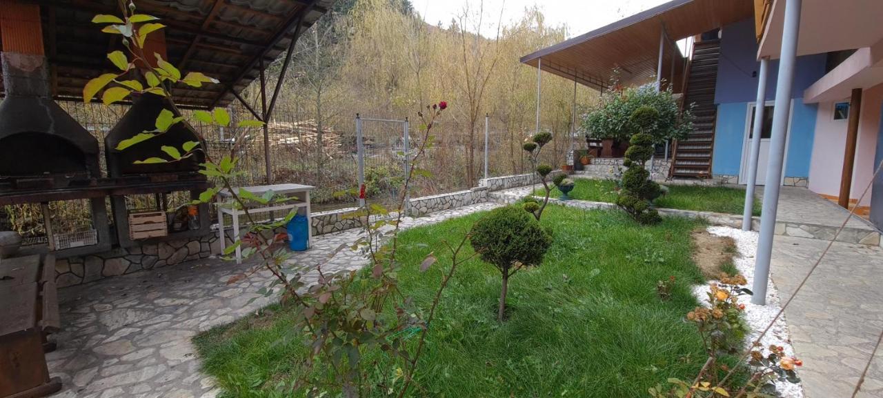 Pensiunea Aurora - Great Hostel Войняса Екстериор снимка