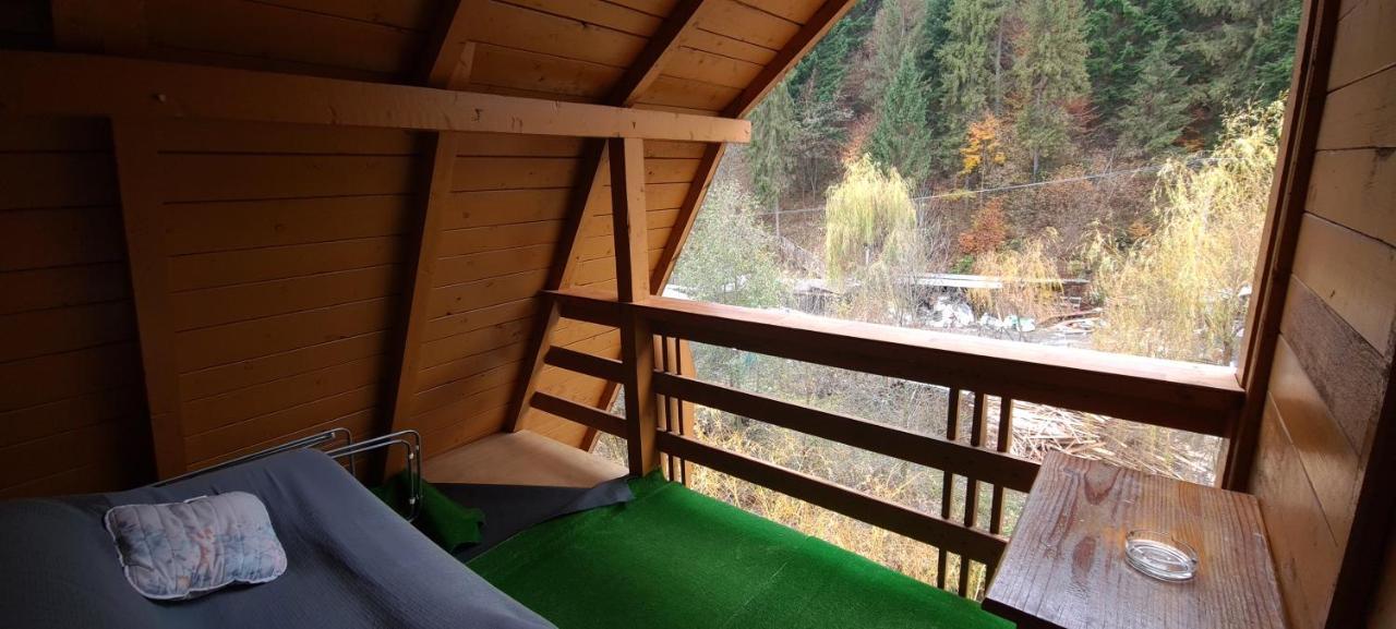 Pensiunea Aurora - Great Hostel Войняса Екстериор снимка