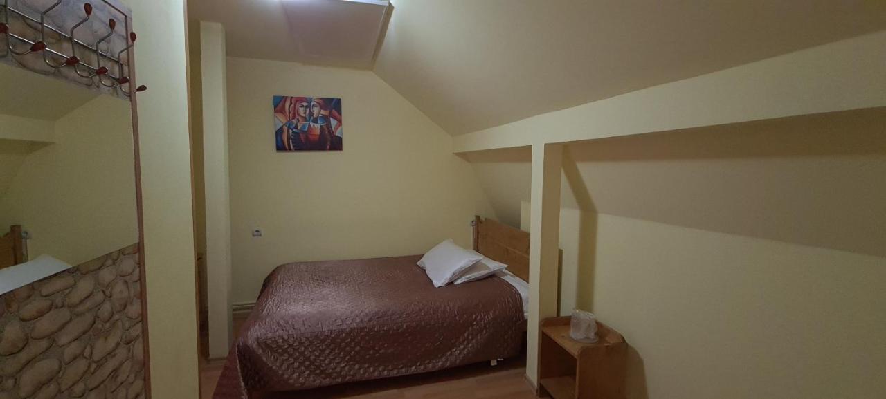 Pensiunea Aurora - Great Hostel Войняса Екстериор снимка