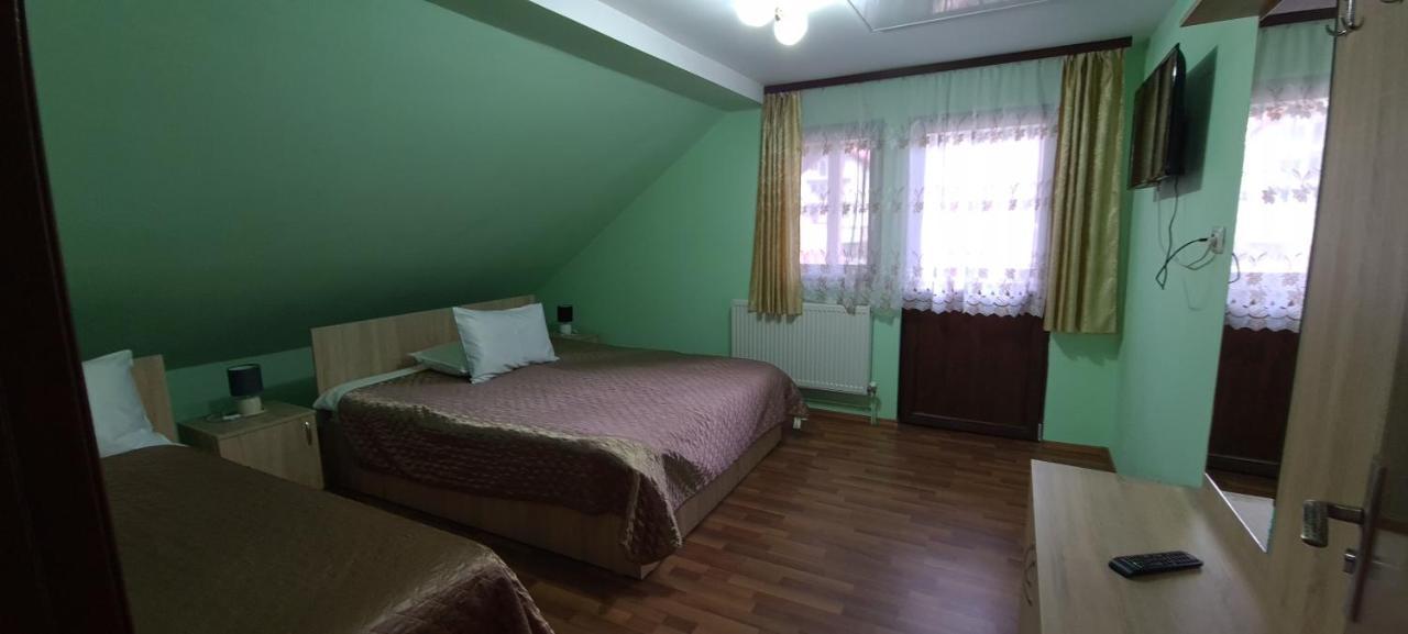 Pensiunea Aurora - Great Hostel Войняса Екстериор снимка