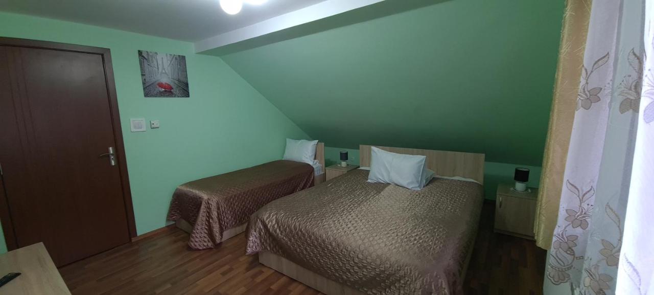 Pensiunea Aurora - Great Hostel Войняса Екстериор снимка
