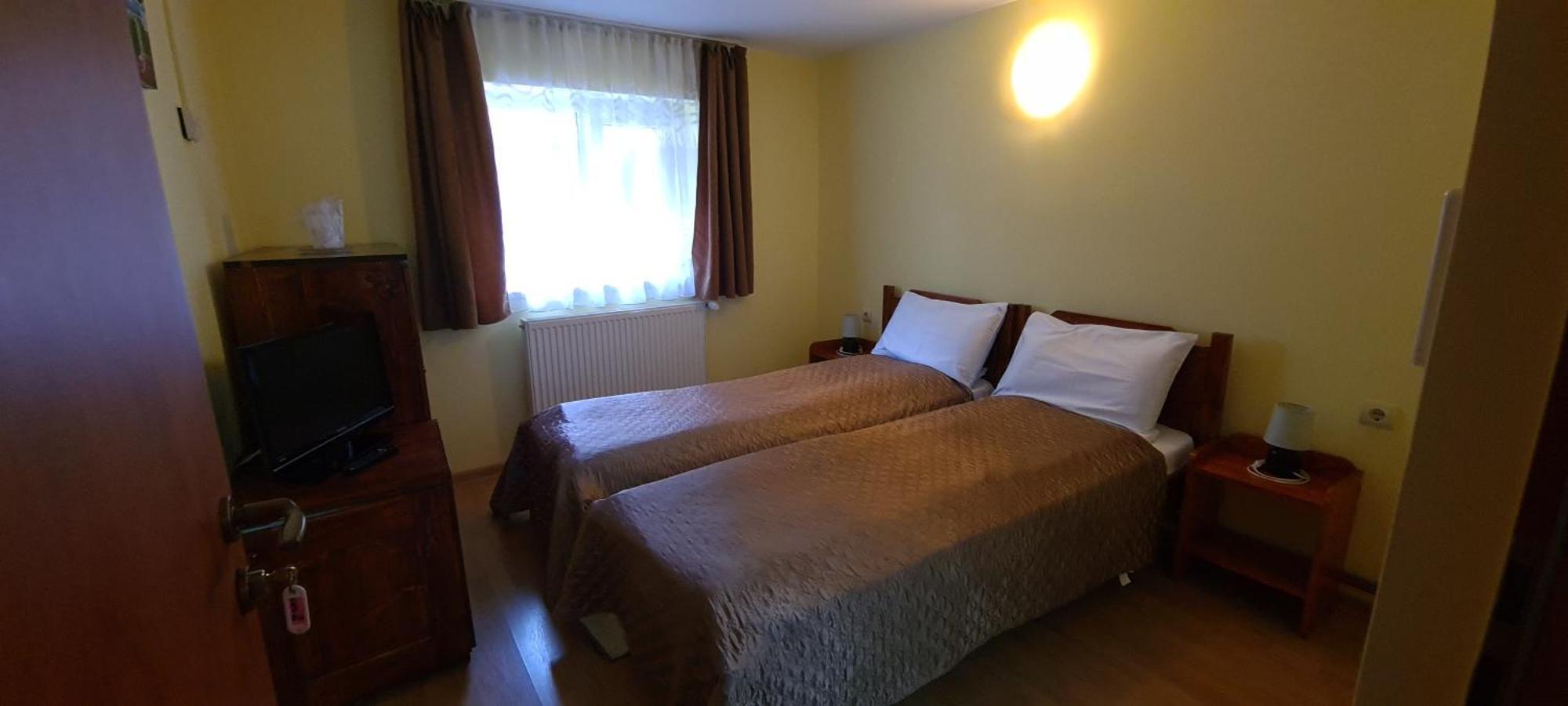 Pensiunea Aurora - Great Hostel Войняса Екстериор снимка