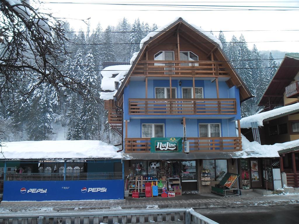 Pensiunea Aurora - Great Hostel Войняса Екстериор снимка