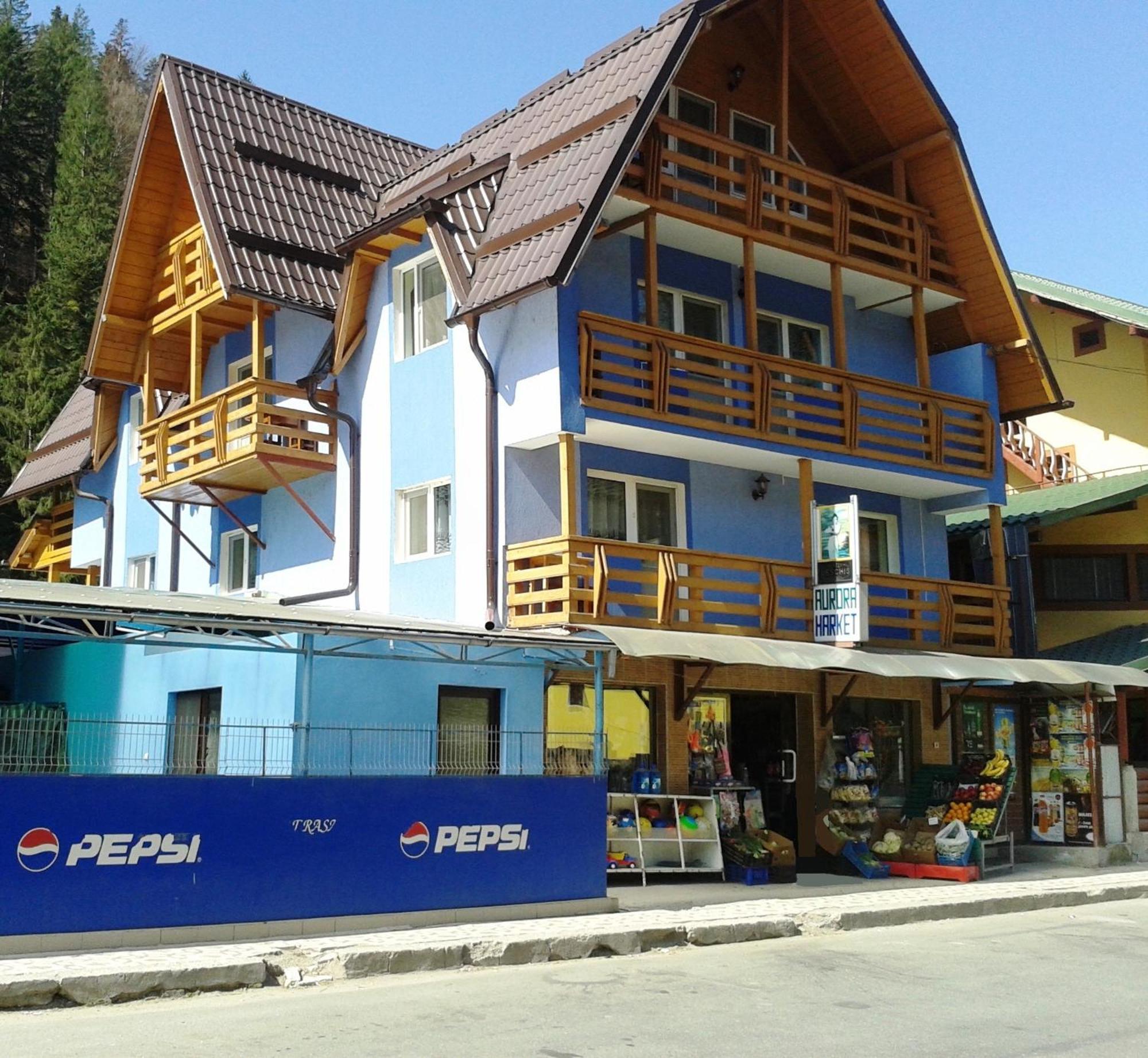Pensiunea Aurora - Great Hostel Войняса Екстериор снимка