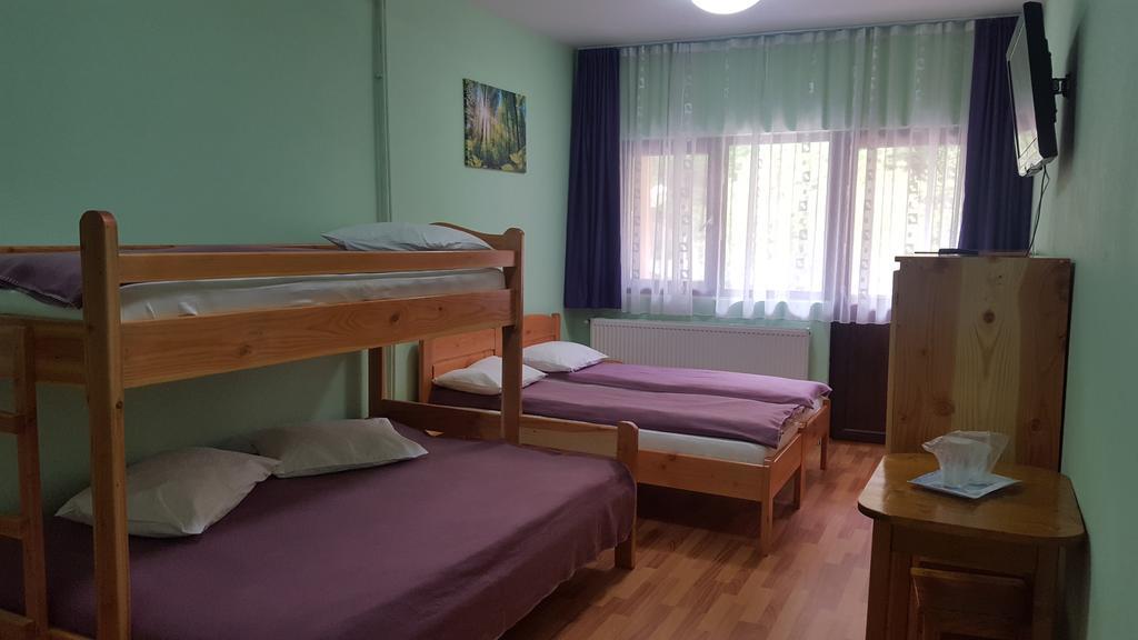 Pensiunea Aurora - Great Hostel Войняса Екстериор снимка