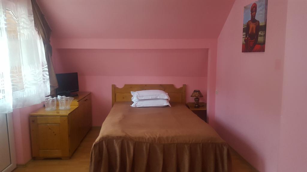 Pensiunea Aurora - Great Hostel Войняса Екстериор снимка